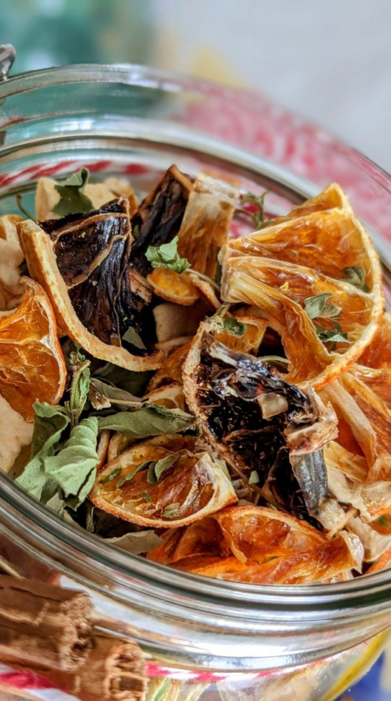 Biosec Pro Tauro professioneller Dörrautomat