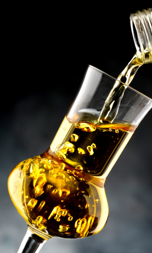 pin des montagnes - grappa de pin des montagnes