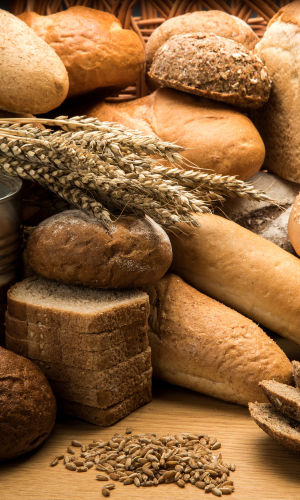 mt18 mulino macinacereali di salisburgo