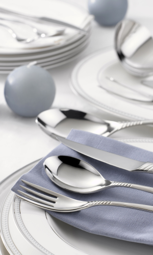 asciugatrice lucidatrice per posate horeca