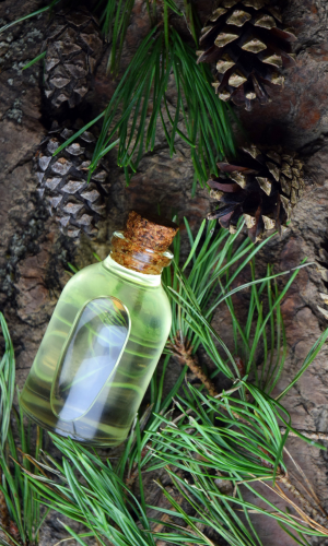 huile de pin de montagne régénérante pour le bien-être spa et l'aromathérapie