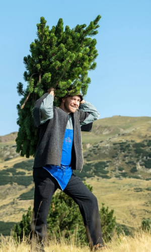 box regalo essenza con kit oli essenziali misti