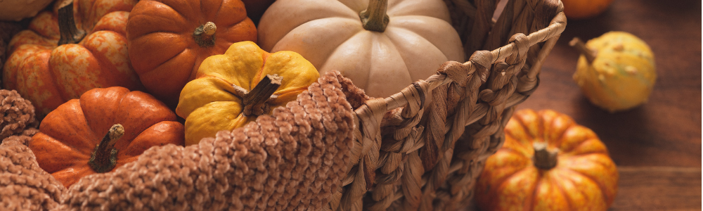 cinque terre blog - autumn lands to explore