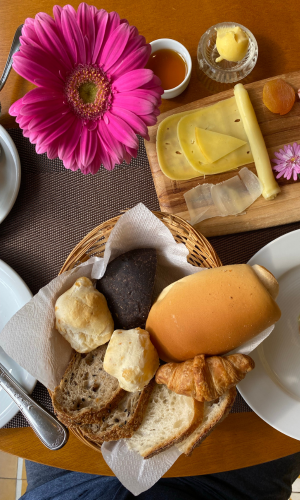 piastra elettrica per scaldavivande hotel breakfast buffet