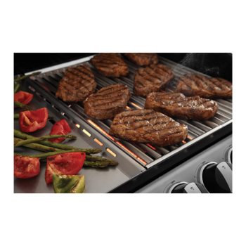 Barbecue a gas 2 fuochi Turbo Classic