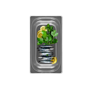 Contenitore Inox Gastronorm GN1/3
