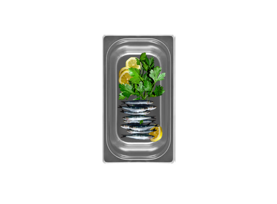 Contenitore Inox Gastronorm GN1/3