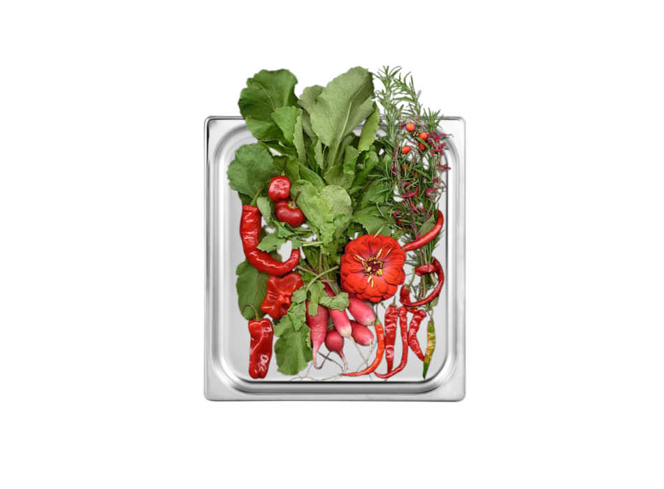 Contenitore Inox Gastronorm GN2/3