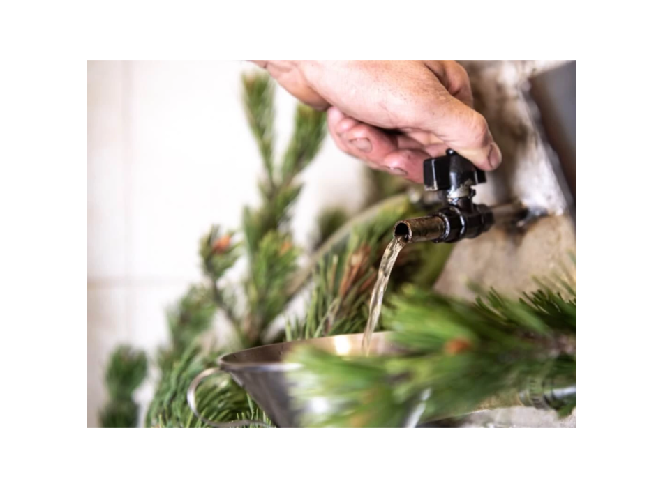 Idrolato di Pino Mugo 100ml