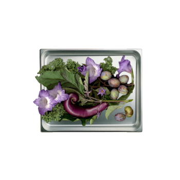 Edelstahl Gastronormbehälter GN2/1