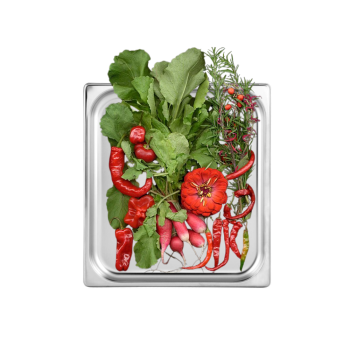 Edelstahl Gastronormbehälter GN2/3