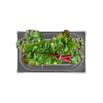 Stainless Steel Gastronorm Container GN1/1