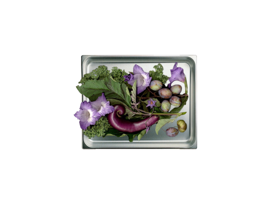 Stainless Steel Gastronorm Container GN2/1