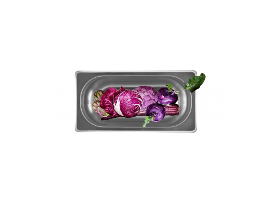 Stainless Steel Gastronorm Container GN2/8