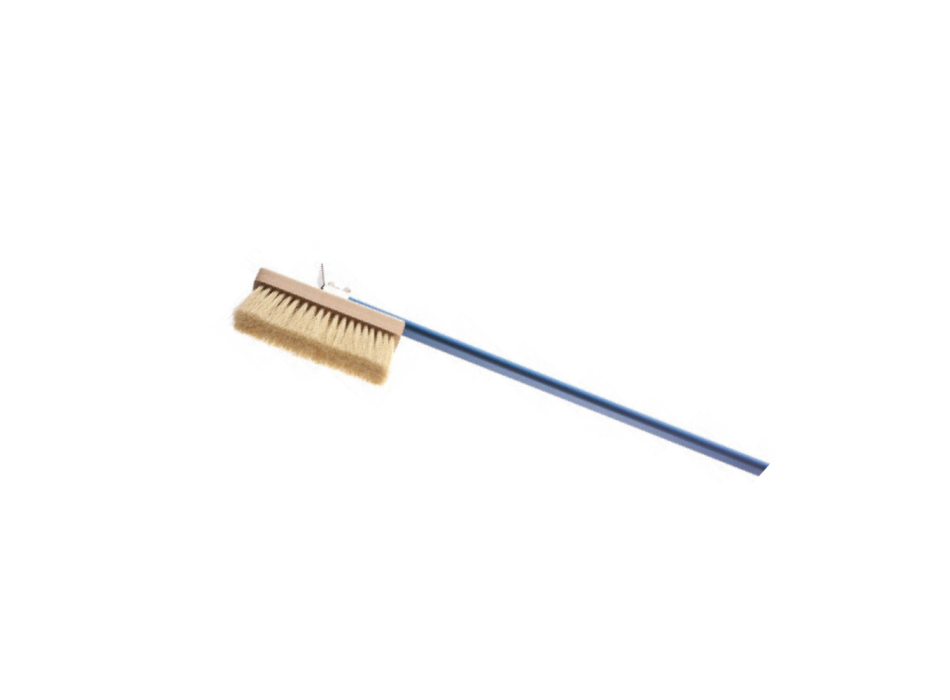 Natural bristle brush