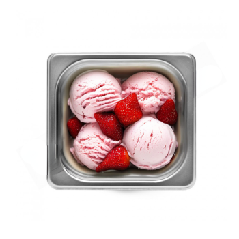 Bac à glace en acier inoxydable 210x200mm