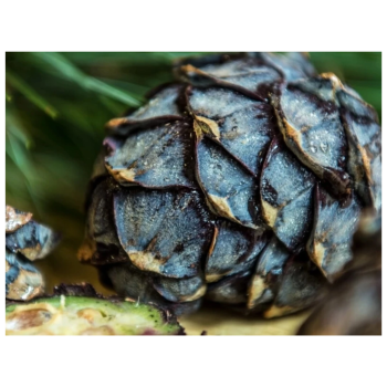 Huile de massage 100ml