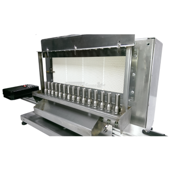 Tecnoroast TGP-15 Single Gas Pro – Gril à gaz automatique pour 15 arrosticini